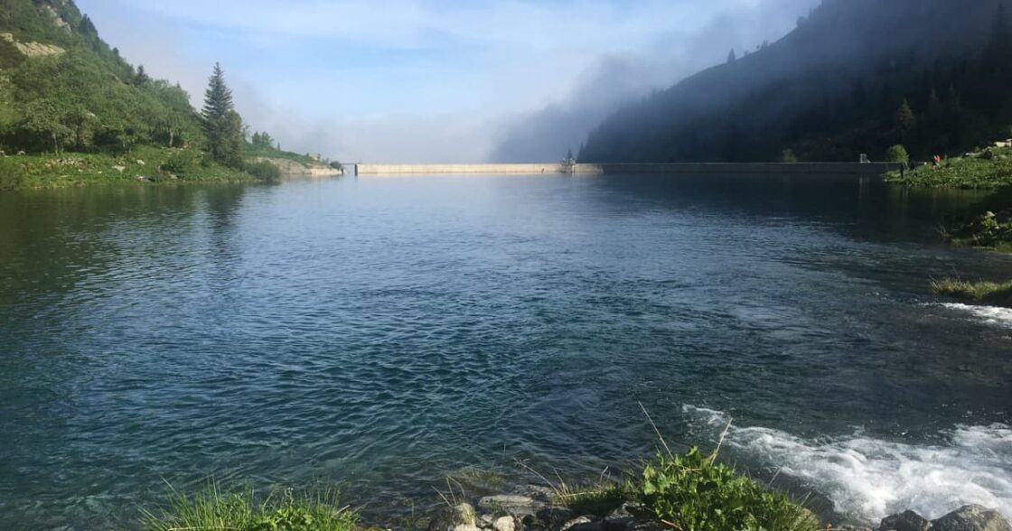 Débroussaillage au barrage du Carre