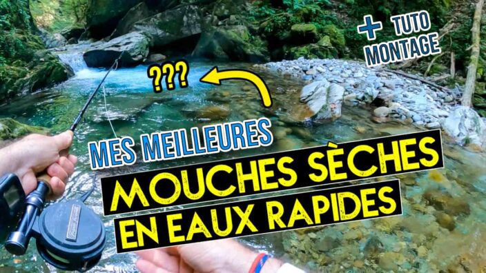 meilleures mouches sèches rivière rapide