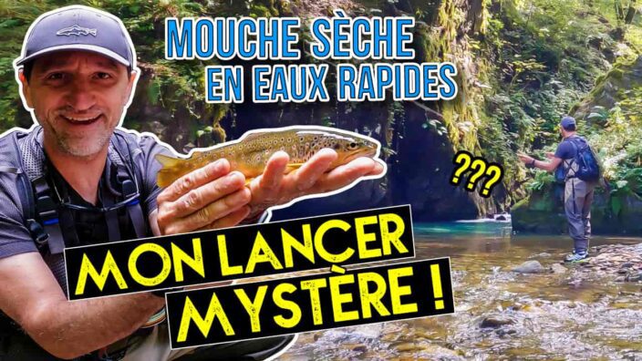 mouche sèche en eaux rapides