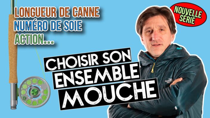 choisir ensemble mouche